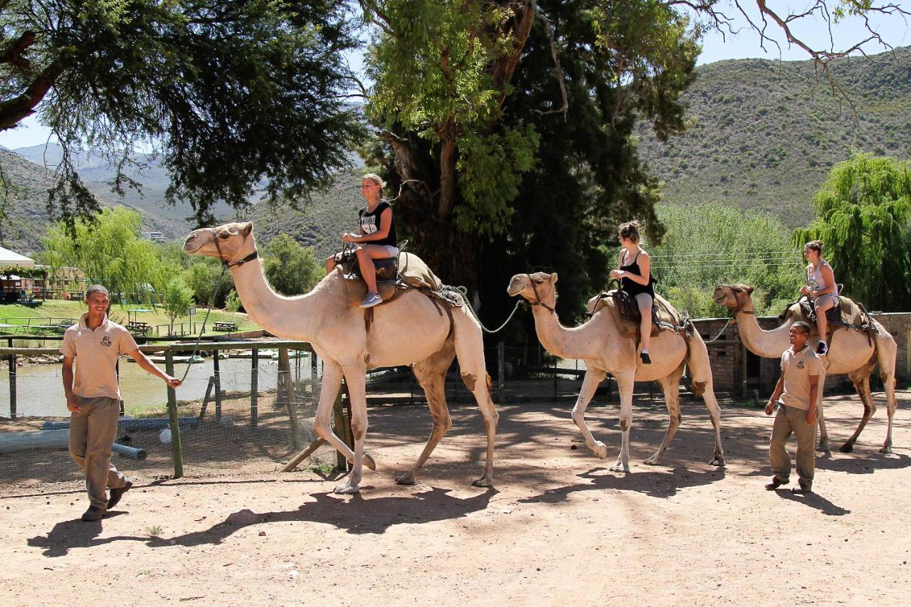 Wilgewandel Holiday Farm & Day Restaurant Oudtshoorn Extérieur photo