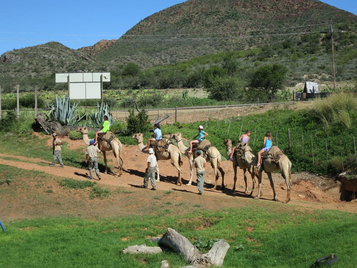 Wilgewandel Holiday Farm & Day Restaurant Oudtshoorn Extérieur photo