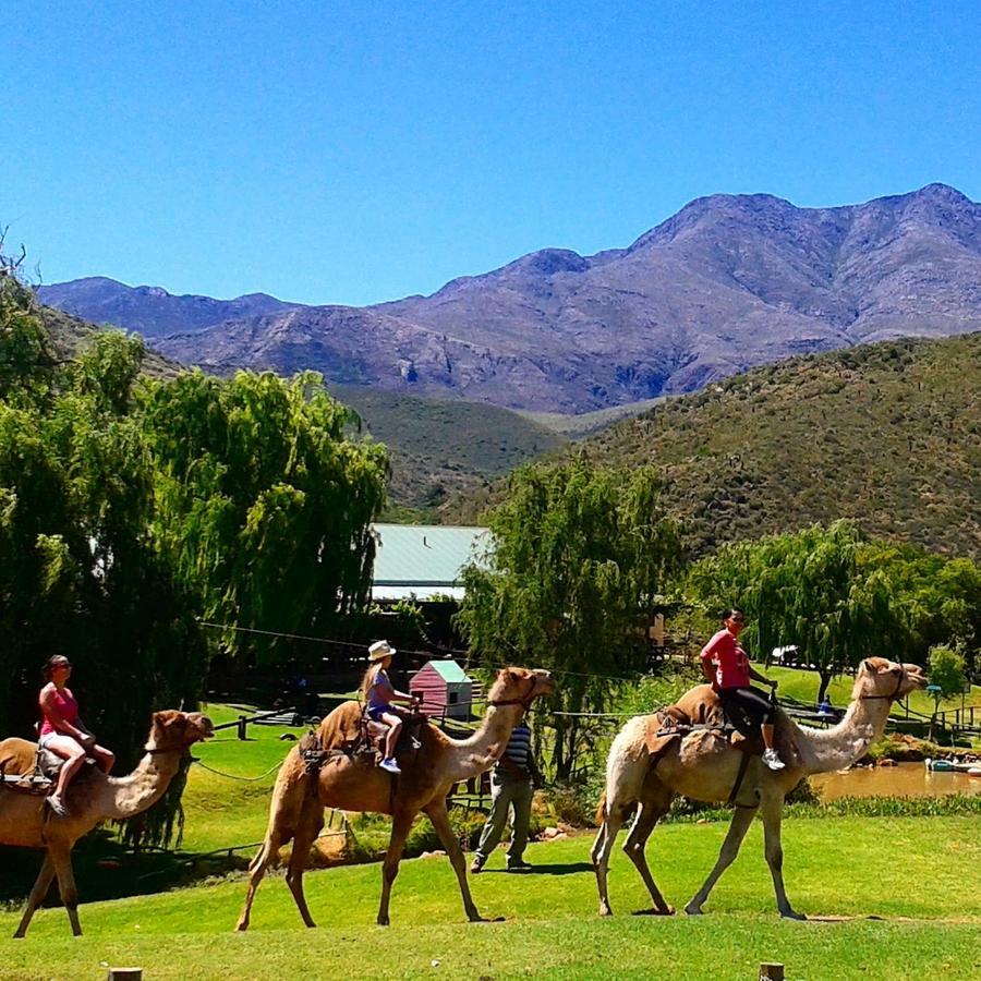 Wilgewandel Holiday Farm & Day Restaurant Oudtshoorn Extérieur photo