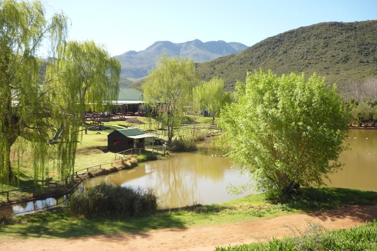 Wilgewandel Holiday Farm & Day Restaurant Oudtshoorn Extérieur photo